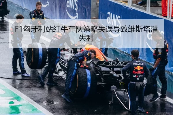 F1匈牙利站红牛车队策略失误导致维斯塔潘失利