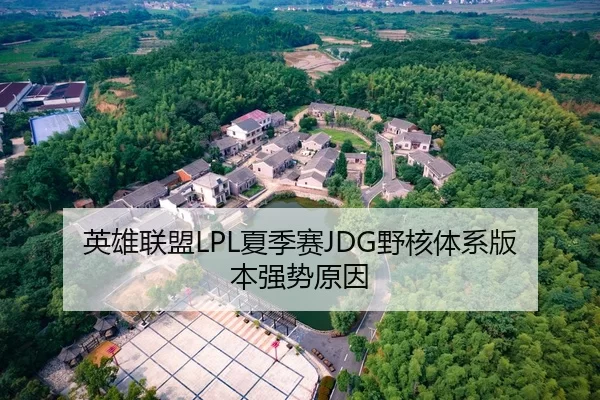 英雄联盟LPL夏季赛JDG野核体系版本强势原因