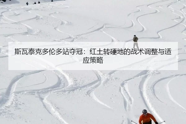 si-wa-tai-ke-duo-lun-duo-zhan-duo-guan-hong-tu-zhuan-ying-di-de-zhan-shu-tiao-zheng-yu-shi-ying-ce-lve-3-741.jpg